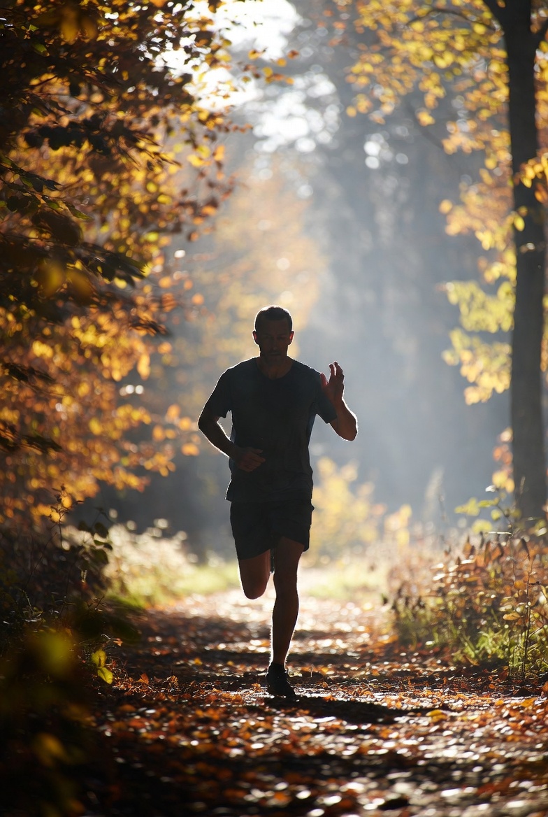 Structured lifestyle programmes Programme structure blocks arranged by weekly focus themes